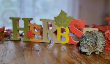 Igel "Karlchen" für Ihre Herbstdekoration - 4
