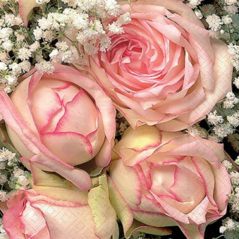 Servietten englische Rosen