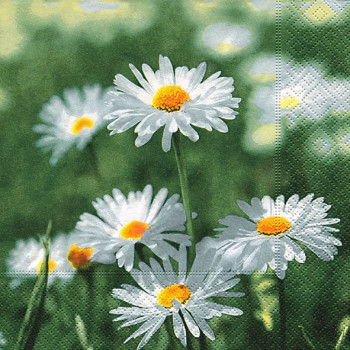 Servietten mit Gänseblümchen Full of daisies