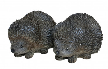 Igel 