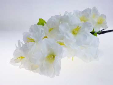 Kirschblütenzweig, weiß, Blumendeko - 2