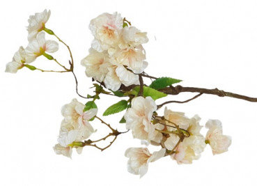Kirschblütenzweig in der Farbe Apricot - 1