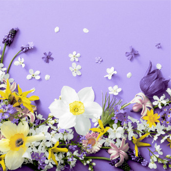Servietten "Soft Spring lilacs" " mit Blumenmotiven auf fliederfarbenen Hintergrund