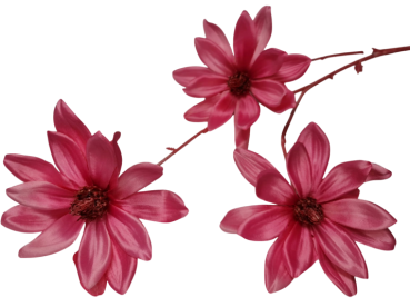 Magnolienzweig in Pink, Kunststoff/Seide, 81 cm - 1