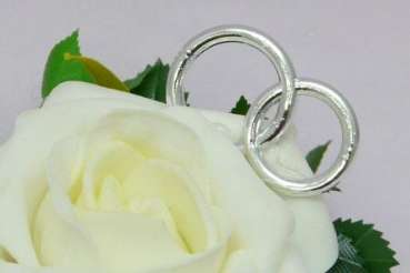 Rose in Rosenblättern mit zwei Ringen 4