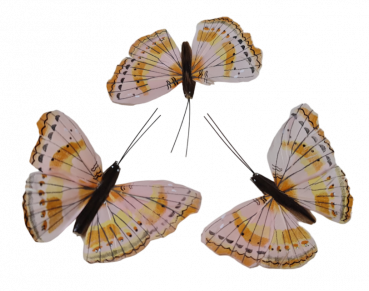 3 Schmetterlinge - Streudekoration, Tischdeko