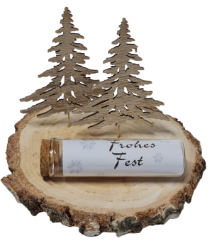 Geldgeschenk mit zwei Tannen für die Weihnachtszeit - 5