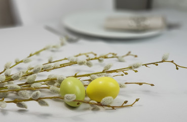 Weidekätzchenzweige für eine stimmungsvolle Frühlingsdeko - 4
