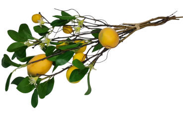 Künstlicher Zitronenzweig-Strauß – 6 Zweige mit Früchten und Blüten - 2