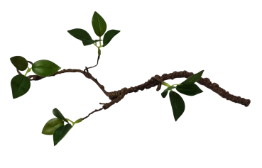 Preview: Tischdekoration - Dekozweig. Tischdeko-online. 4