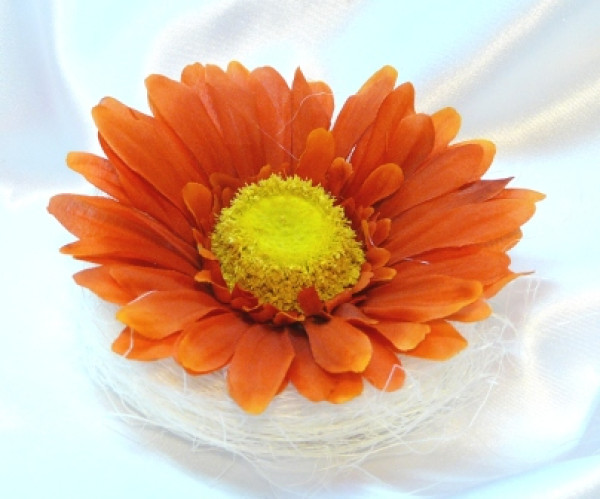 Gastgeschenk eine Gerbera im Sisalnest 2 Gastgeschenk eine Gerbera im Sisalnest 2
