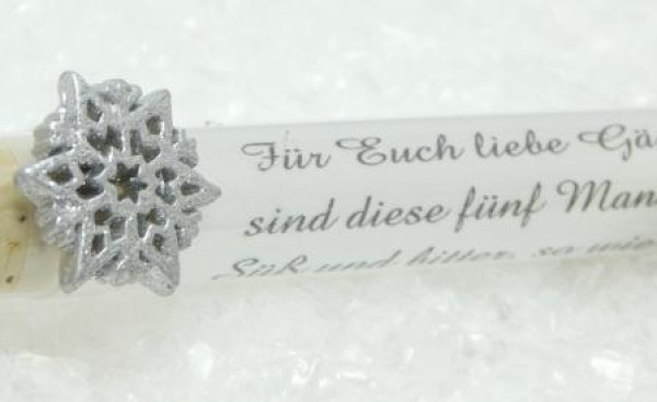 Weihnachtliches Gastgeschenk Silberstern 2
