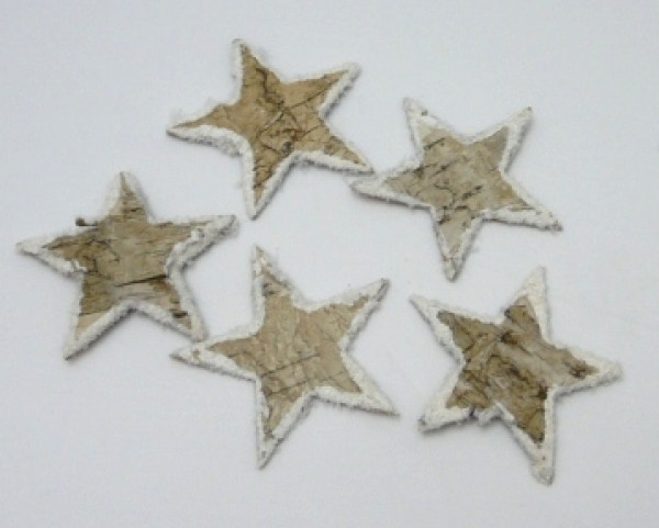 5 kleine Birkensterne mit Schneerand 2