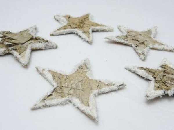 5 kleine Birkensterne mit Schneerand 3