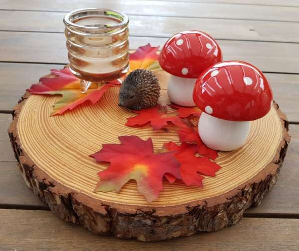 Fliegenpilz, Pilze für die Herbstdeko oder Weihnachtsdeko - 3