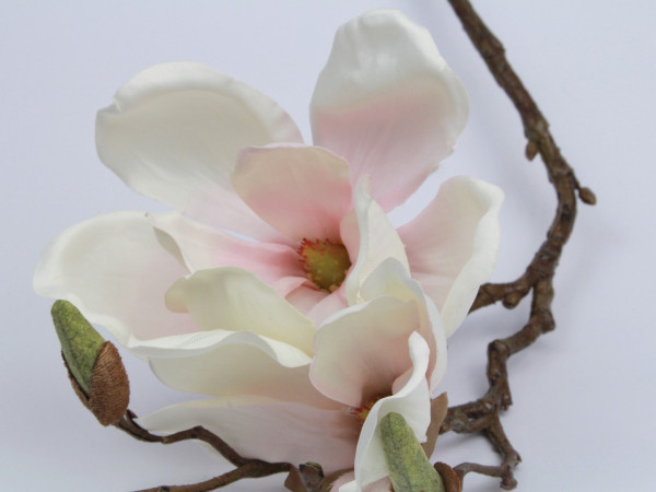 Mangolienzweig rosa oder weiß - Blumedeko, Osterdeko - 2