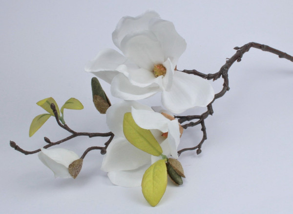 Mangolienzweig rosa oder weiß - Blumedeko, Osterdeko - 3