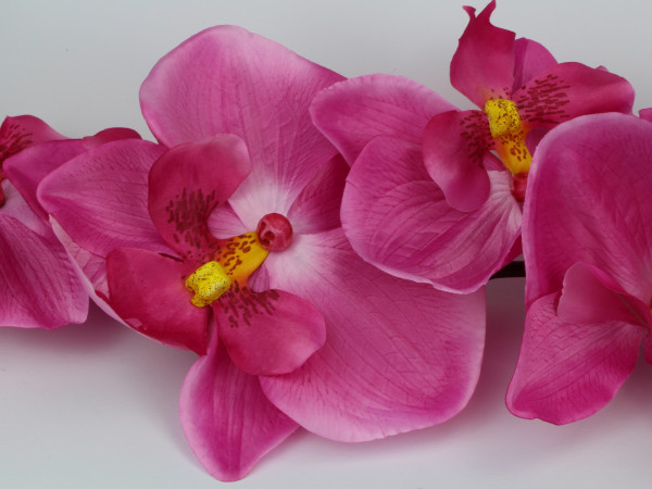 XXL-Orchidee in Pink - Blumendeko 3