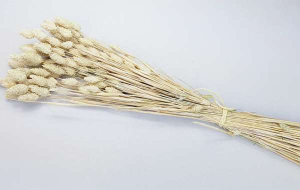 Phalaris-Bund, Blumendeko - 4 Phalaris-Bund, Blumendeko - 4