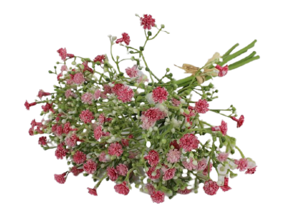 Blumendeko Gloriosazweig - Ruhmeskrone 1