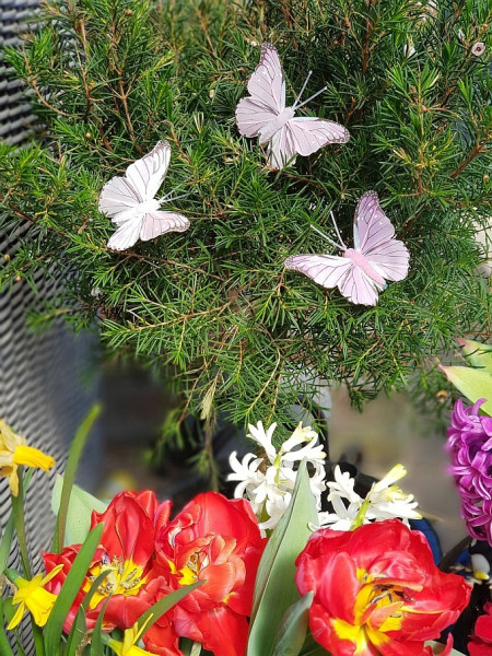rosafarbene Schmetterlinge - Streudeko, Frühlingsdeko - 3 rosafarbene Schmetterlinge - Streudeko, Frühlingsdeko - 3