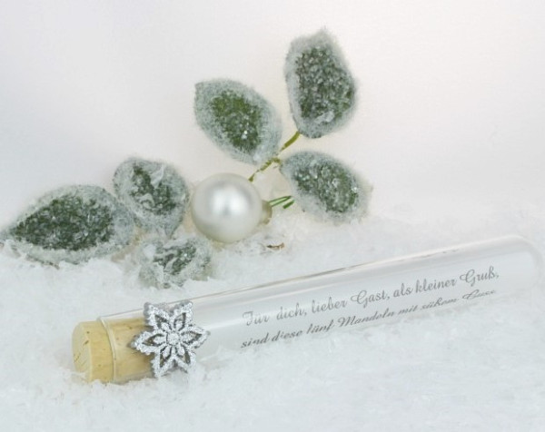 Weihnachtliches Gastgeschenk Silberstern 1