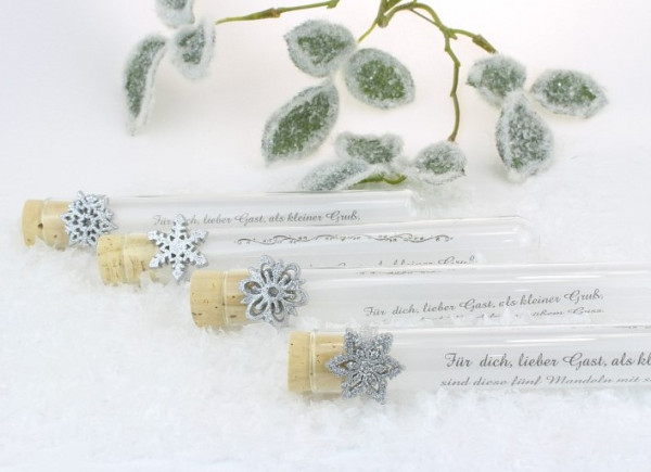 Weihnachtliches Gastgeschenk "Silberstern"