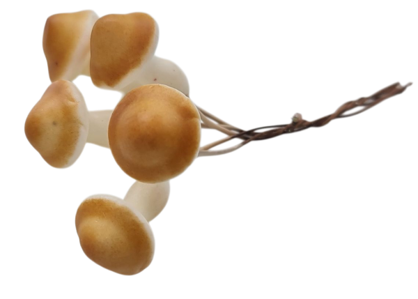 Sechs kleine Fliegenpilze zum Stecken mit grünem Draht für Herbst- und Weihnachtsdeko Sechs kleine Fliegenpilze zum Stecken mit grünem Draht für Herbst- und Weihnachtsdeko