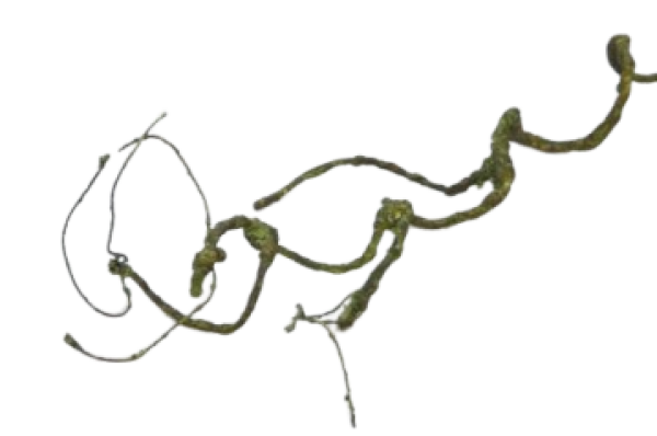 Tischdekoration - Dekozweig. Tischdeko-online. 1
