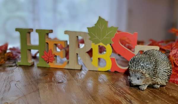 Igel "Karlchen" für Ihre Herbstdekoration - 4