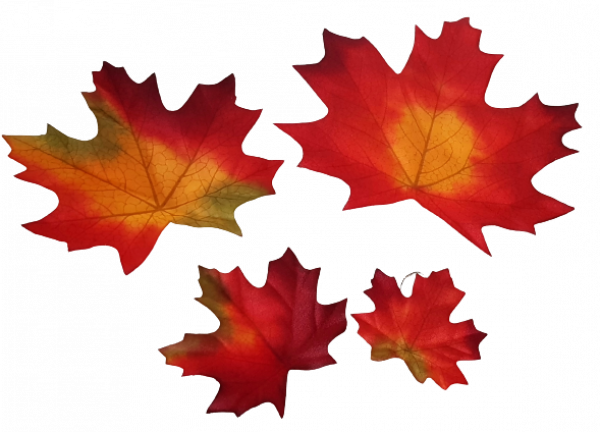 Herbstdeko, Streudeko - Herbstblätter zum Streuen. Herbstdekorationen Tischdeko-online.de