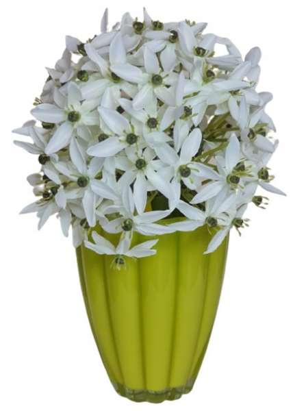 Vase, Glasvase "Bloom" - 4 Vase, Glasvase "Bloom" - 4