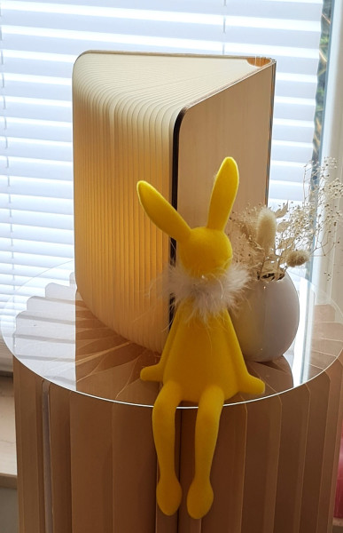 Dekorative Buchlampe mit warmweißem Licht als moderne Tischleuchte