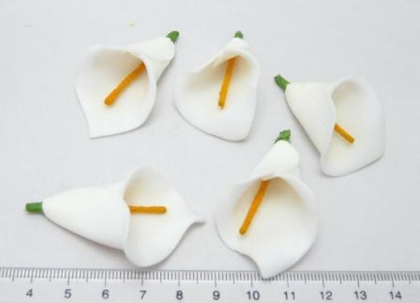 Streudeko - 5 Streublumen Streudeko - 5 Streublumen Calla. Tischdeko-online.Calla. Tischdeko-online für Sie 4 Streudeko - 5 Streublumen Streudeko - 5 Streublumen Calla. Tischdeko-online.Calla. Tischdeko-online für Sie 4