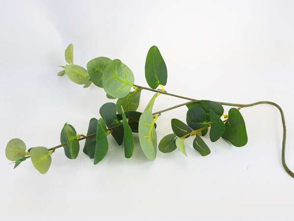 Eukalyptuszweig für Ihre besonderen Dekorationen - 4