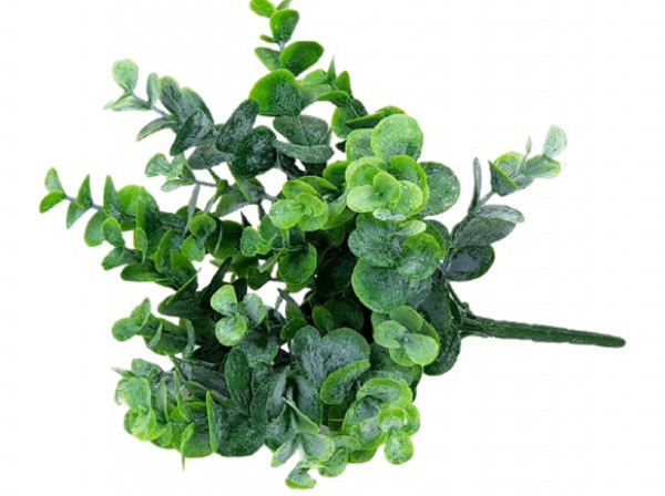 Großer Eukalyptuszweig - 1 Großer Eukalyptuszweig - 1