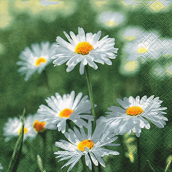 Servietten mit Gänseblümchen Full of daisies