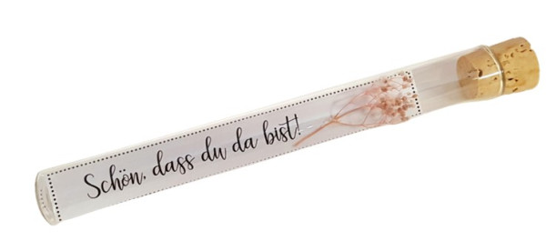 Gastgeschenk - Glasröhrchen mit einem Schleierkrautzweig in Rosa - 1