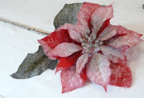 Weihnachtsdeko - geeister Weihnachtsstern. Tischdeko-online zu Weihnachten 2 Weihnachtsdeko - geeister Weihnachtsstern. Tischdeko-online zu Weihnachten 2