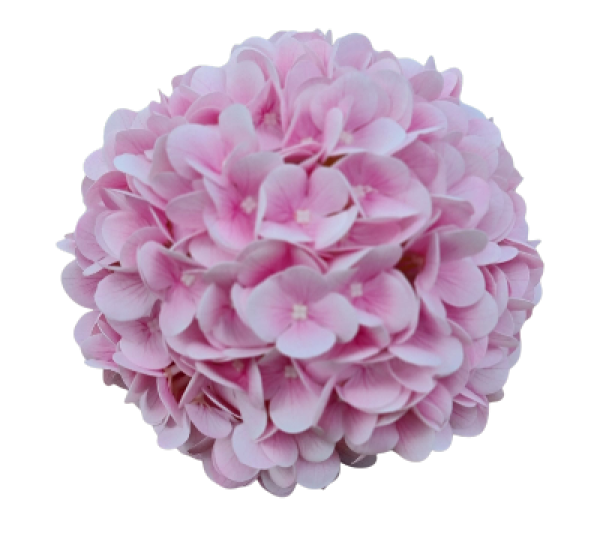 Hortensien-Kugel aus Seide, rosa, 20 cm - 7 Hortensien-Kugel aus Seide, rosa, 20 cm - 7