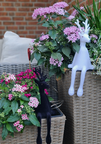 Hirsch Kantenhocker aus beflocktem Kunststoff