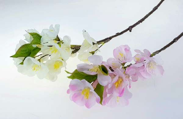Kleiner Kirschblütenzweig, cremeweiß oder rosa - 4