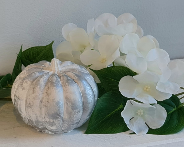 Kürbis weiß/silber