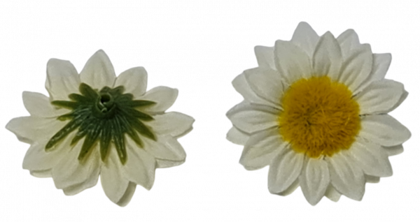 6 Margeriten zum Streuen, Streudeko - 2 6 Margeriten zum Streuen, Streudeko - 2