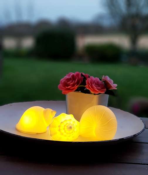 Muscheln aus weißem Porzellan mit LED-Beleuchtung - 5 Muscheln aus weißem Porzellan mit LED-Beleuchtung - 5