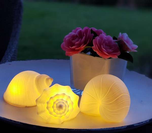 Muscheln aus weißem Porzellan mit LED-Beleuchtung - 1