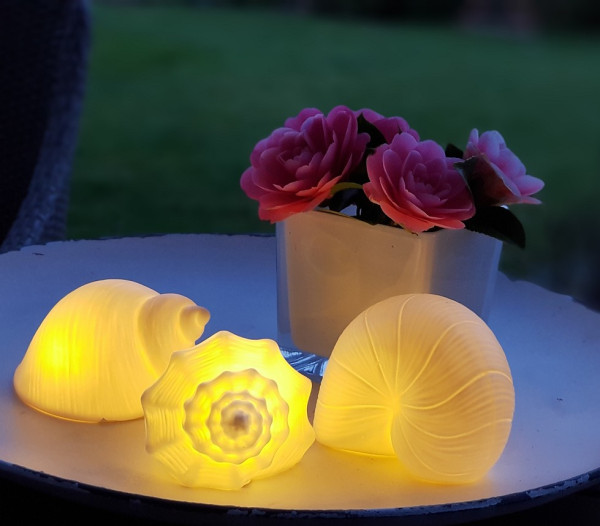 Muscheln aus weißem Porzellan mit LED-Beleuchtung - 1 Muscheln aus weißem Porzellan mit LED-Beleuchtung - 1