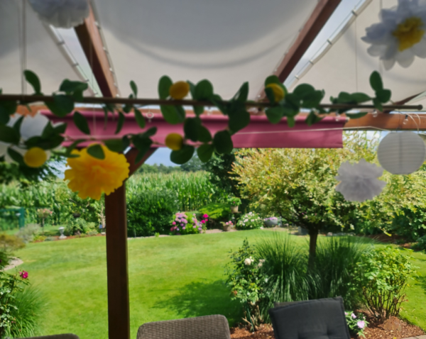 Rosenkopf in 3 Farben als Tischdeko, Streudekoration  3