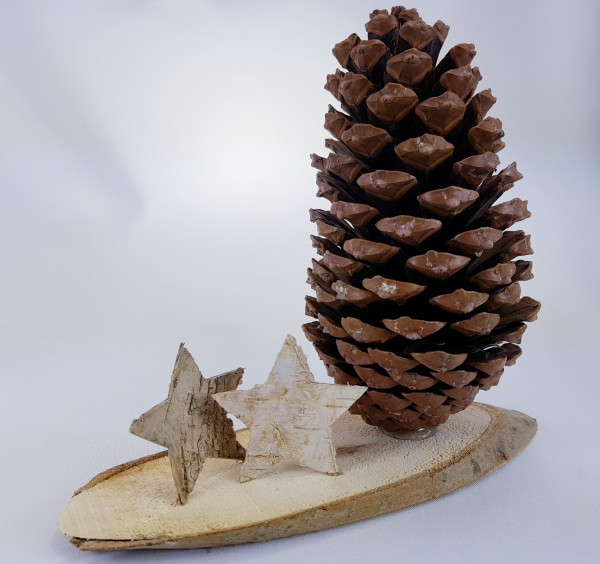 XXL-Zapfen (Pinus Maritima) in Natur, 8-11 cm - 3 XXL-Zapfen (Pinus Maritima) in Natur, 8-11 cm - 3