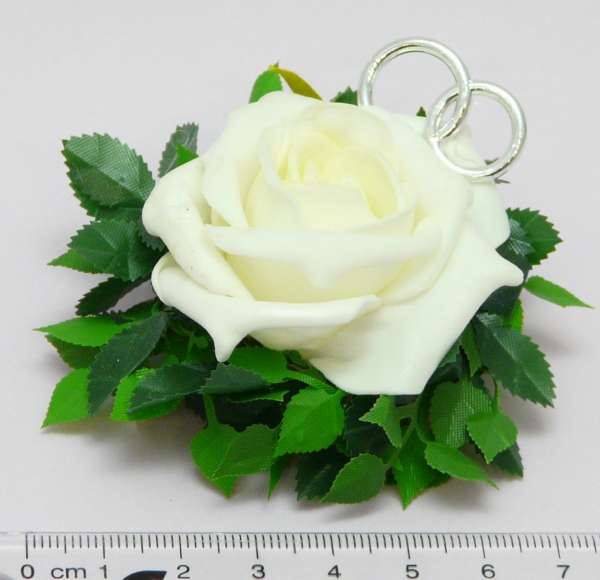 Rose in Rosenblättern mit zwei Ringen 5